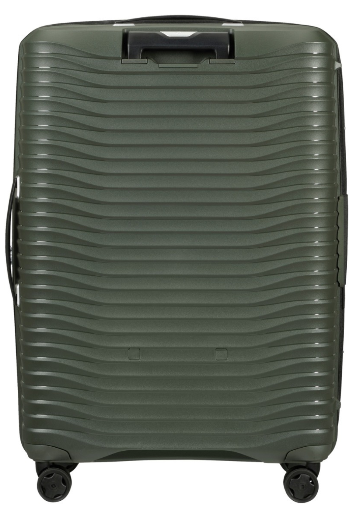 Climbing Ivy / L (75 cm)