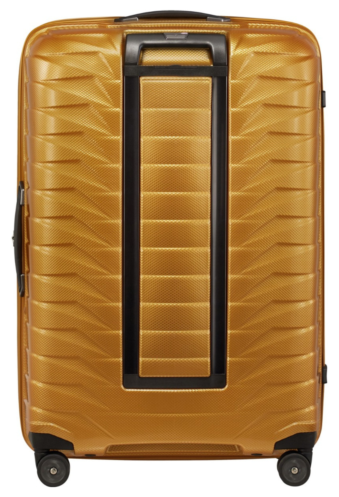 Honey Gold / L (71-80 cm)