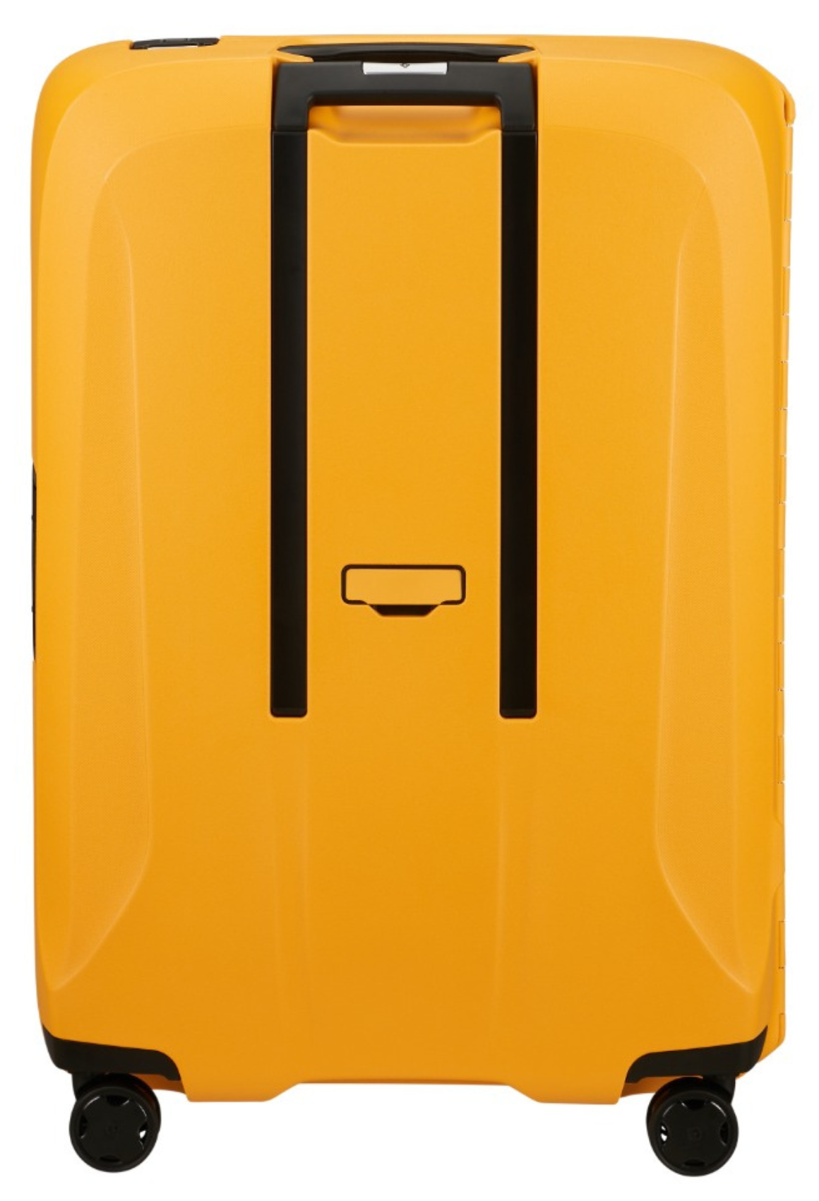 Radient Yellow / L (75 cm)