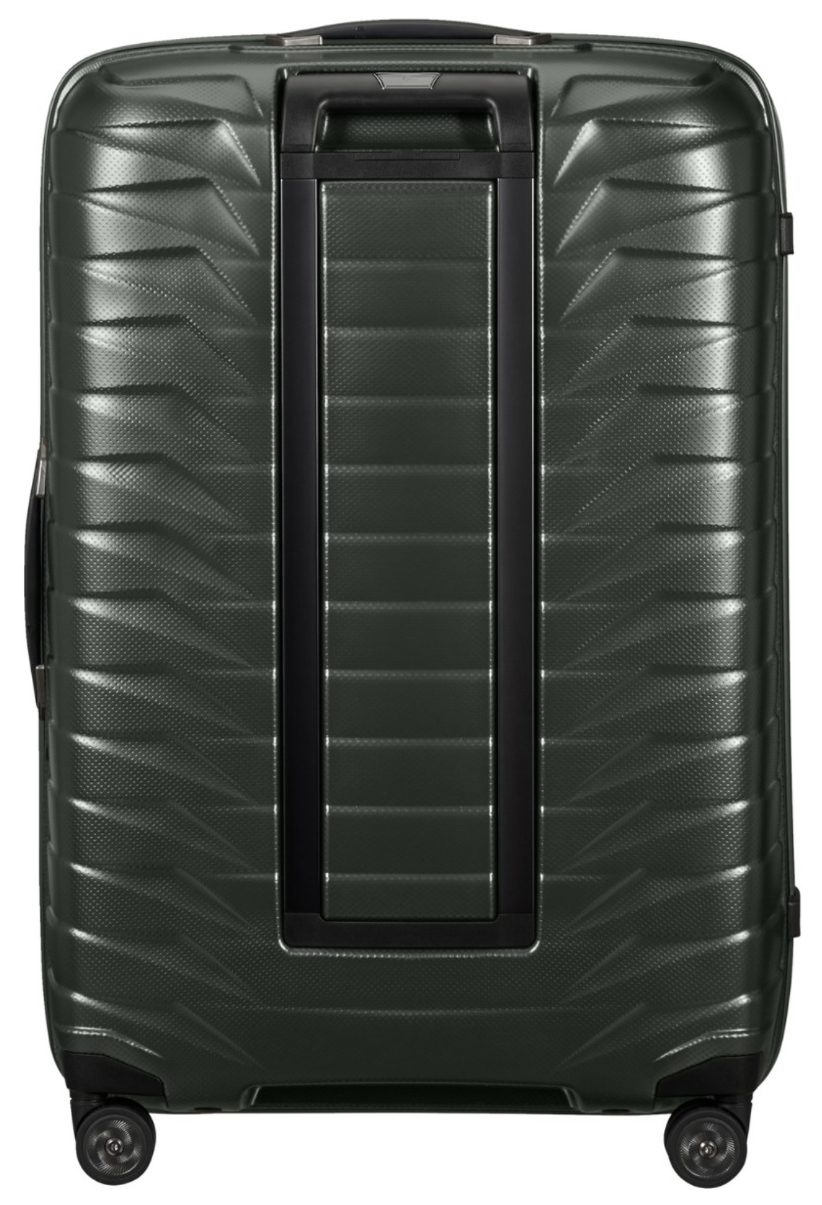 Matt Climbing Ivy / L (71-80 cm)