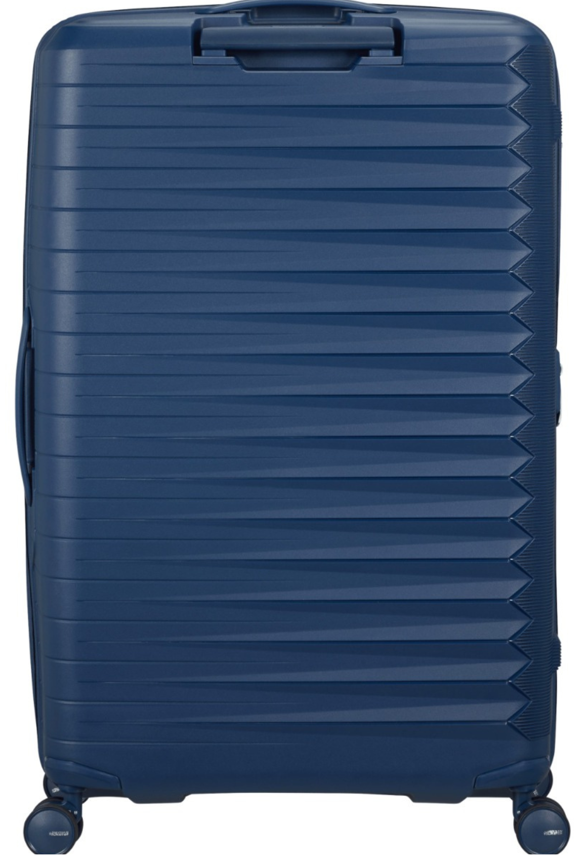 Navy Blue / L (71-80 cm)