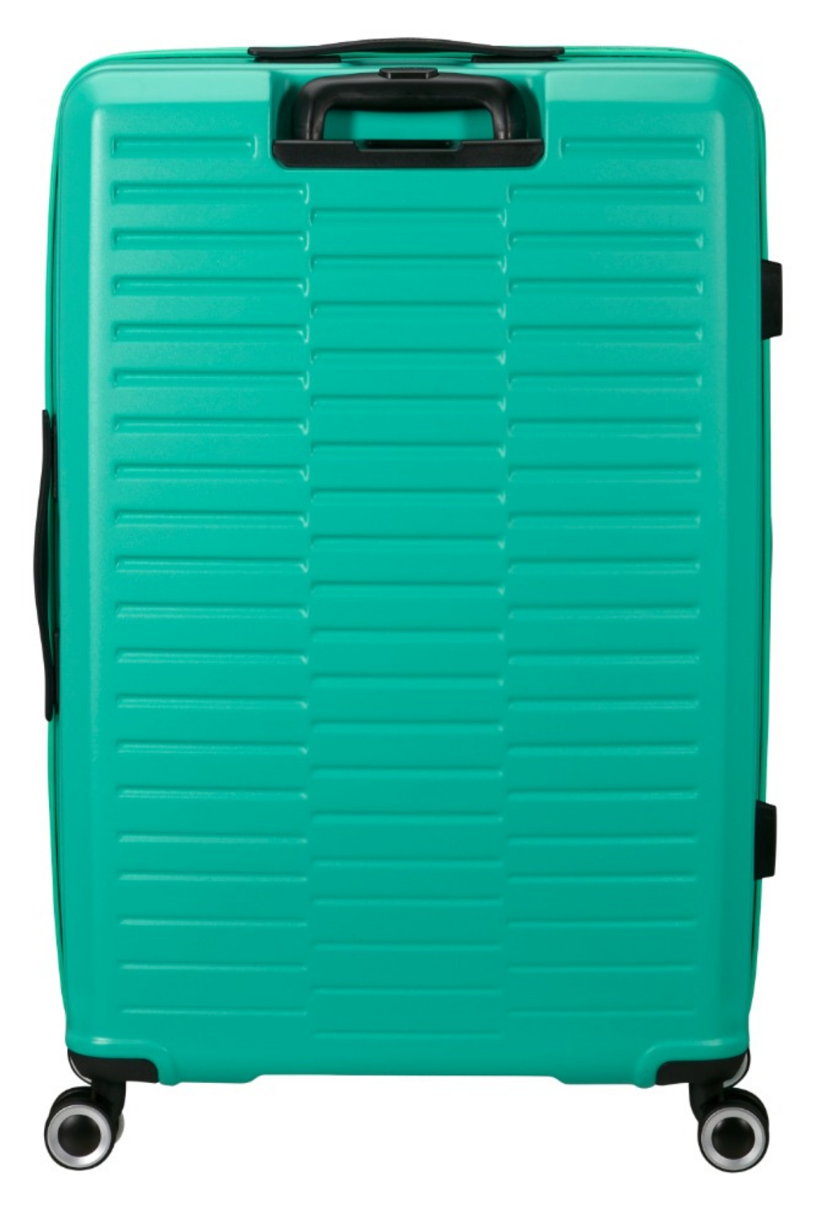 mint / M (60-70 cm)