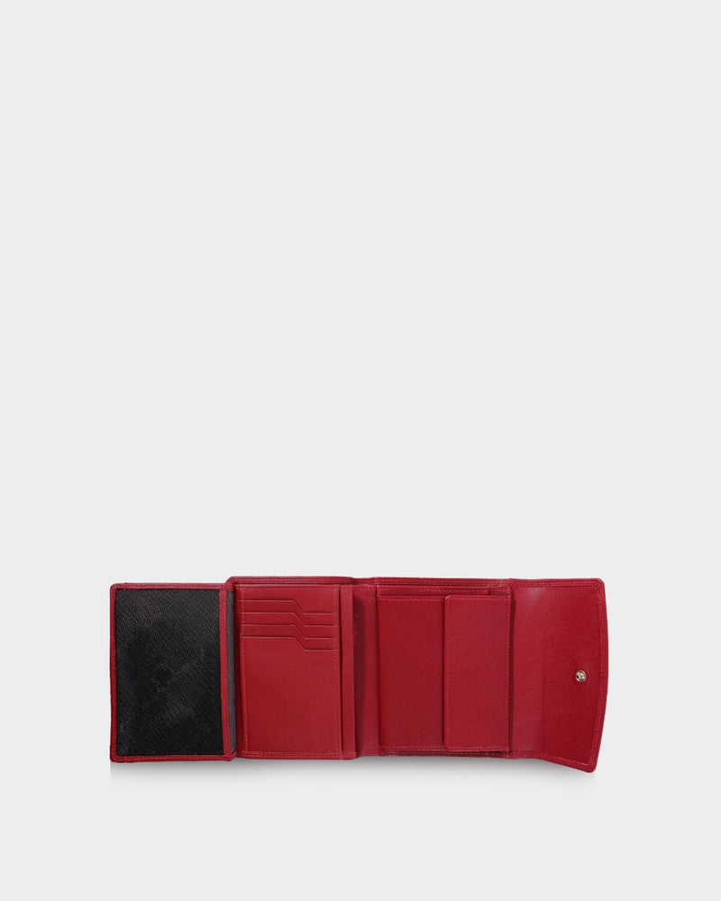 232440041