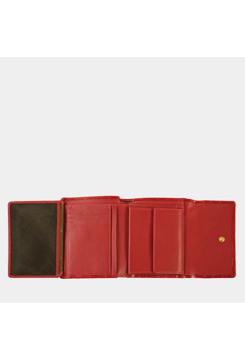 Braun Büffel Verona portafoglio 8CS