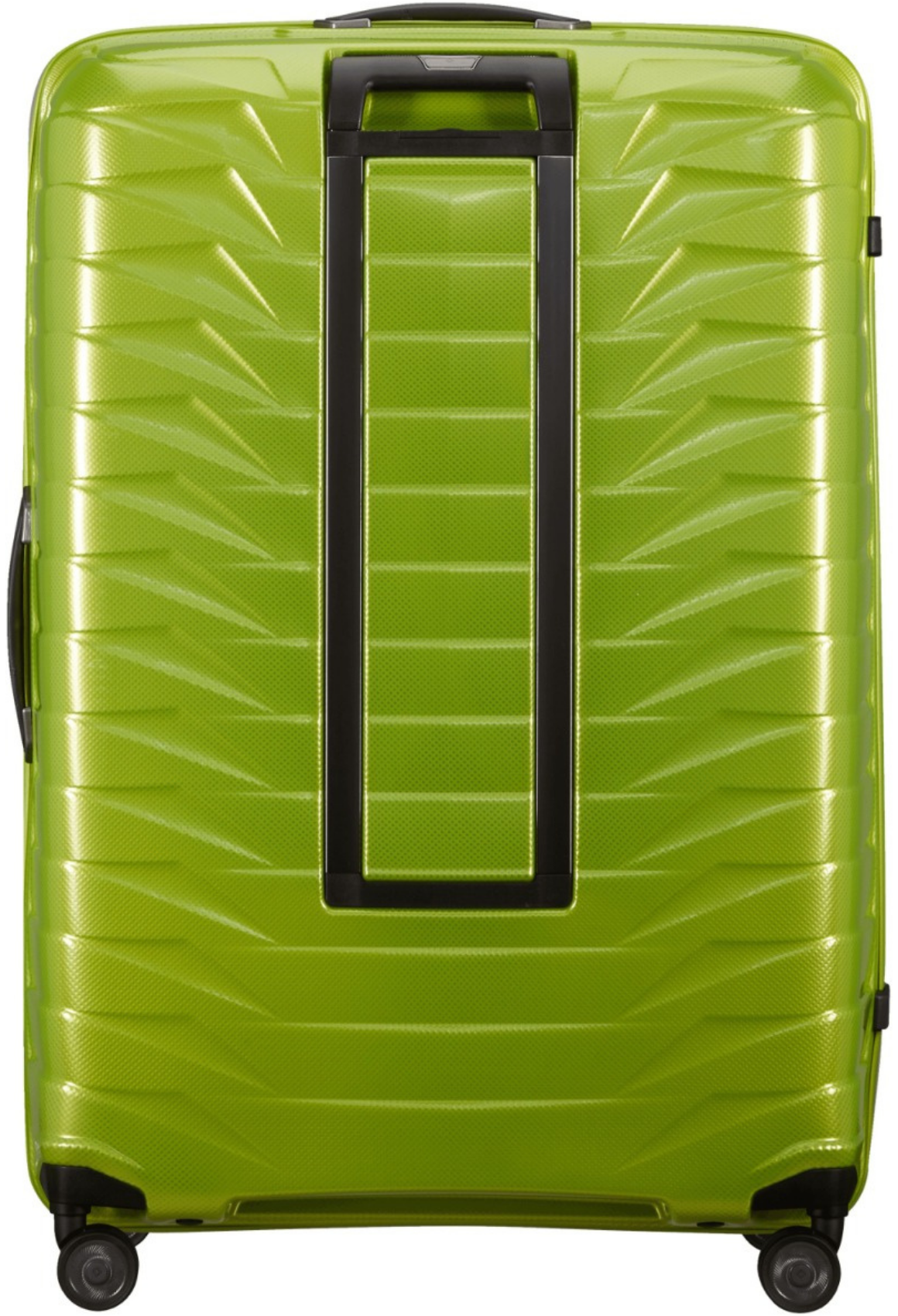 verde chiaro / XXL (da 86 cm)