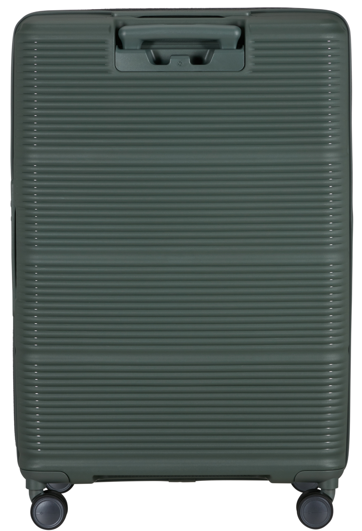 Olive / L