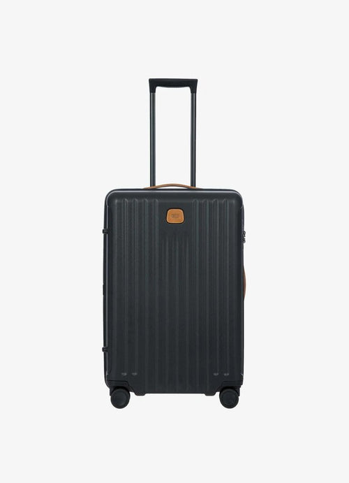 Black with Brown Details / M (60-70 cm)