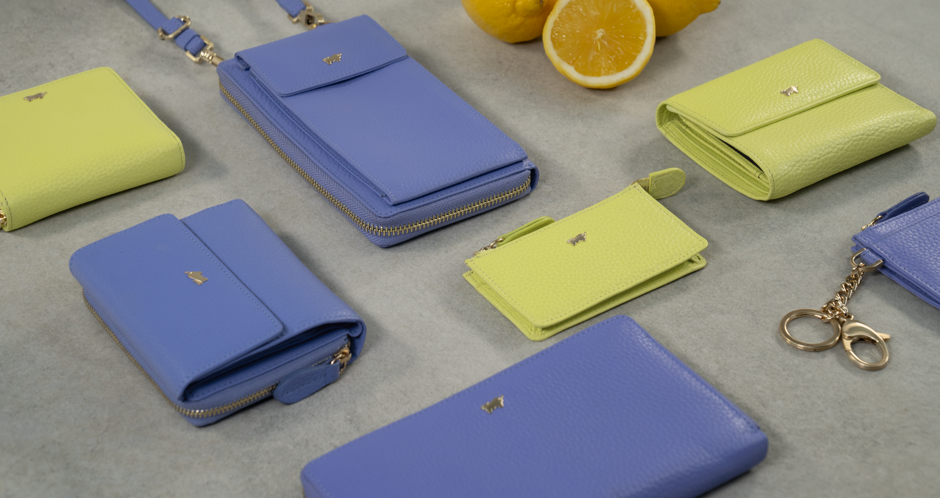 Braun Büffel, Geldbörsen, Kartenetuis, Lederaccessoires, moderne Farben, flach arrangiert