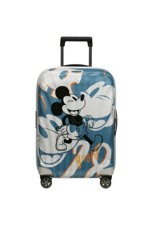 blue with pattern / XS (carry-on luggage)