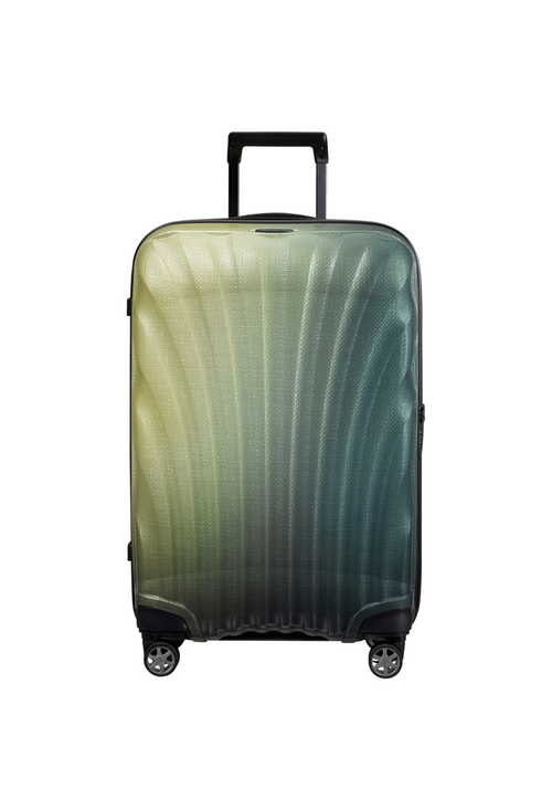 Multicolored / M (60-70 cm)