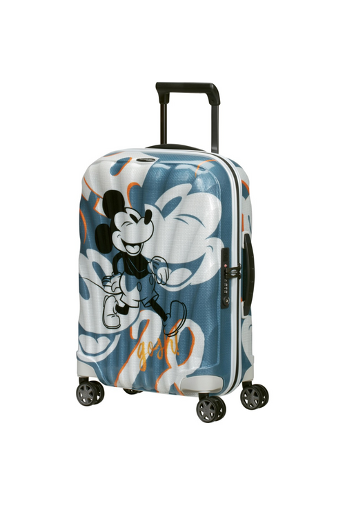 blue with pattern / XS (carry-on luggage)