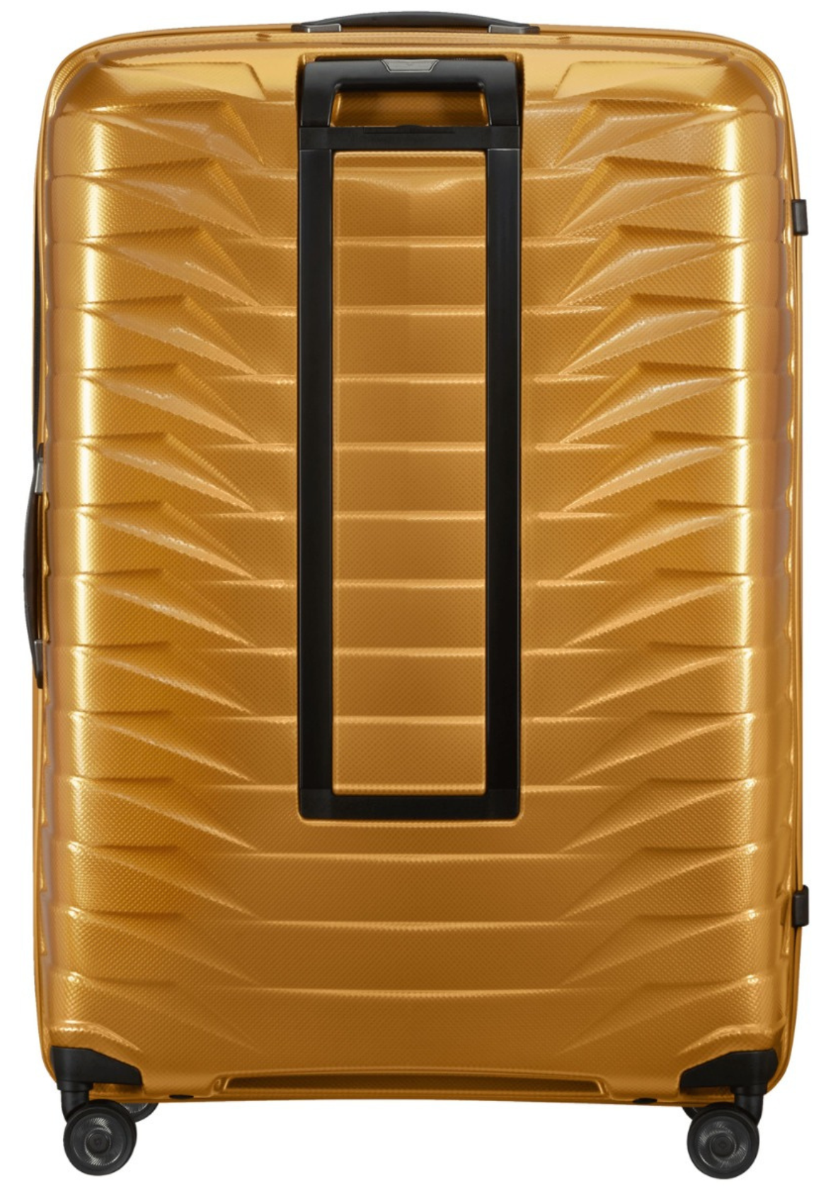 Honey Gold / XXL (ab 86 cm)