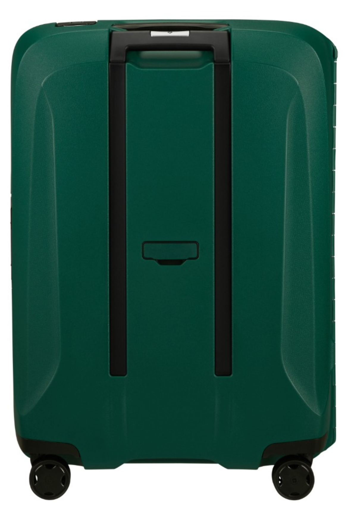 Alpine Green / M (69 cm)