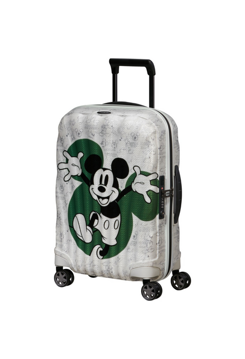 white with pattern / XS (carry-on luggage)