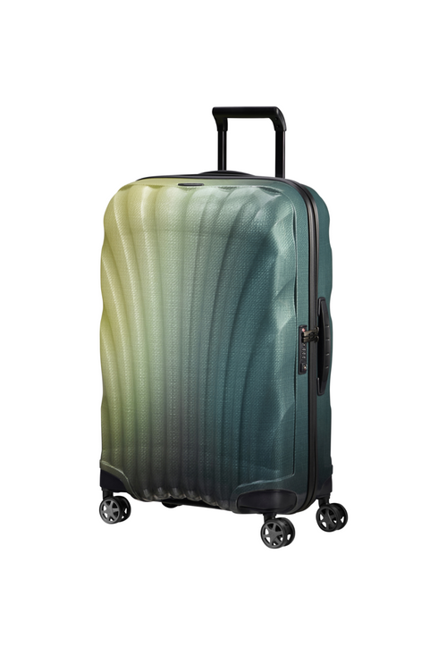 Multicolored / M (60-70 cm)