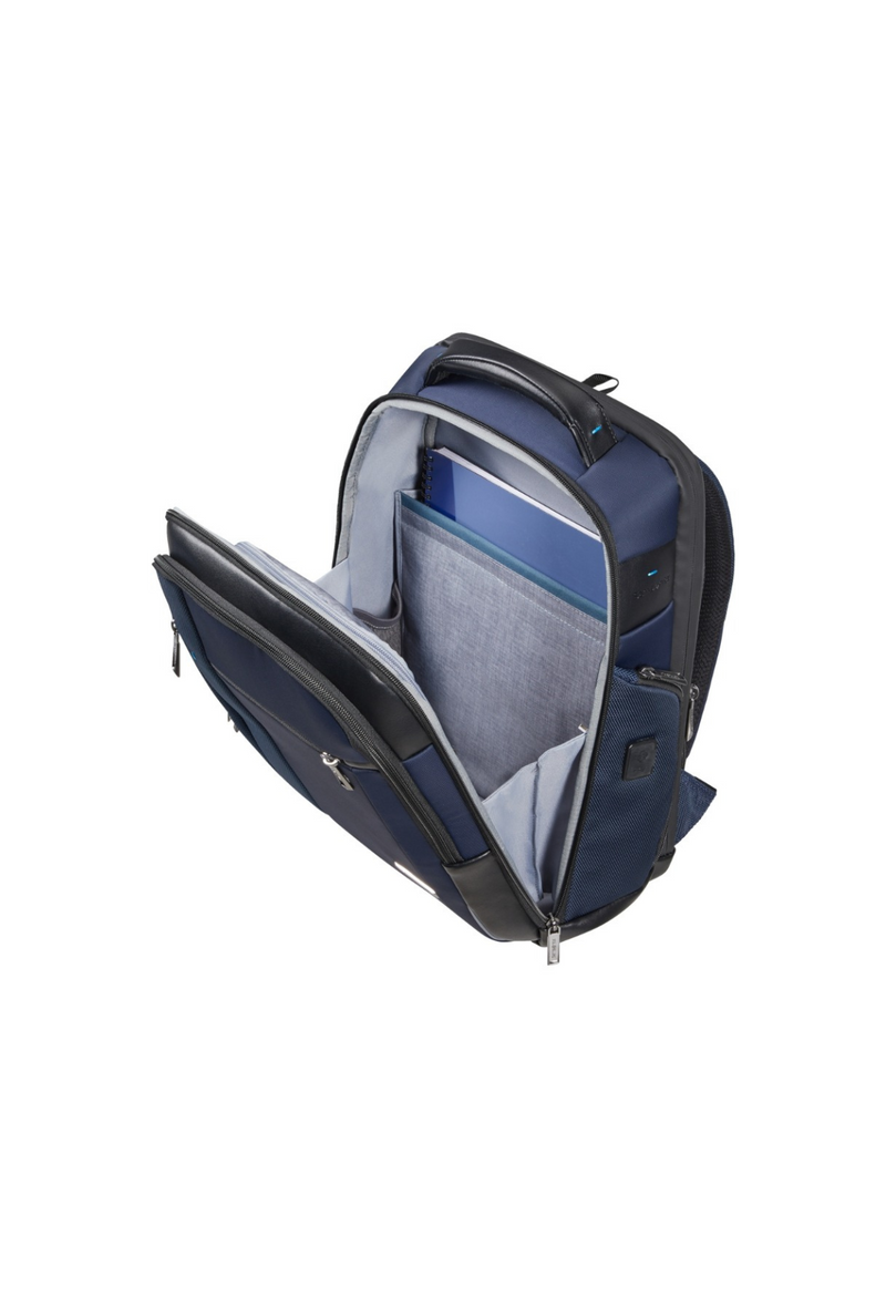 Samsonite Selection Spectrolite 3.0 Backpack