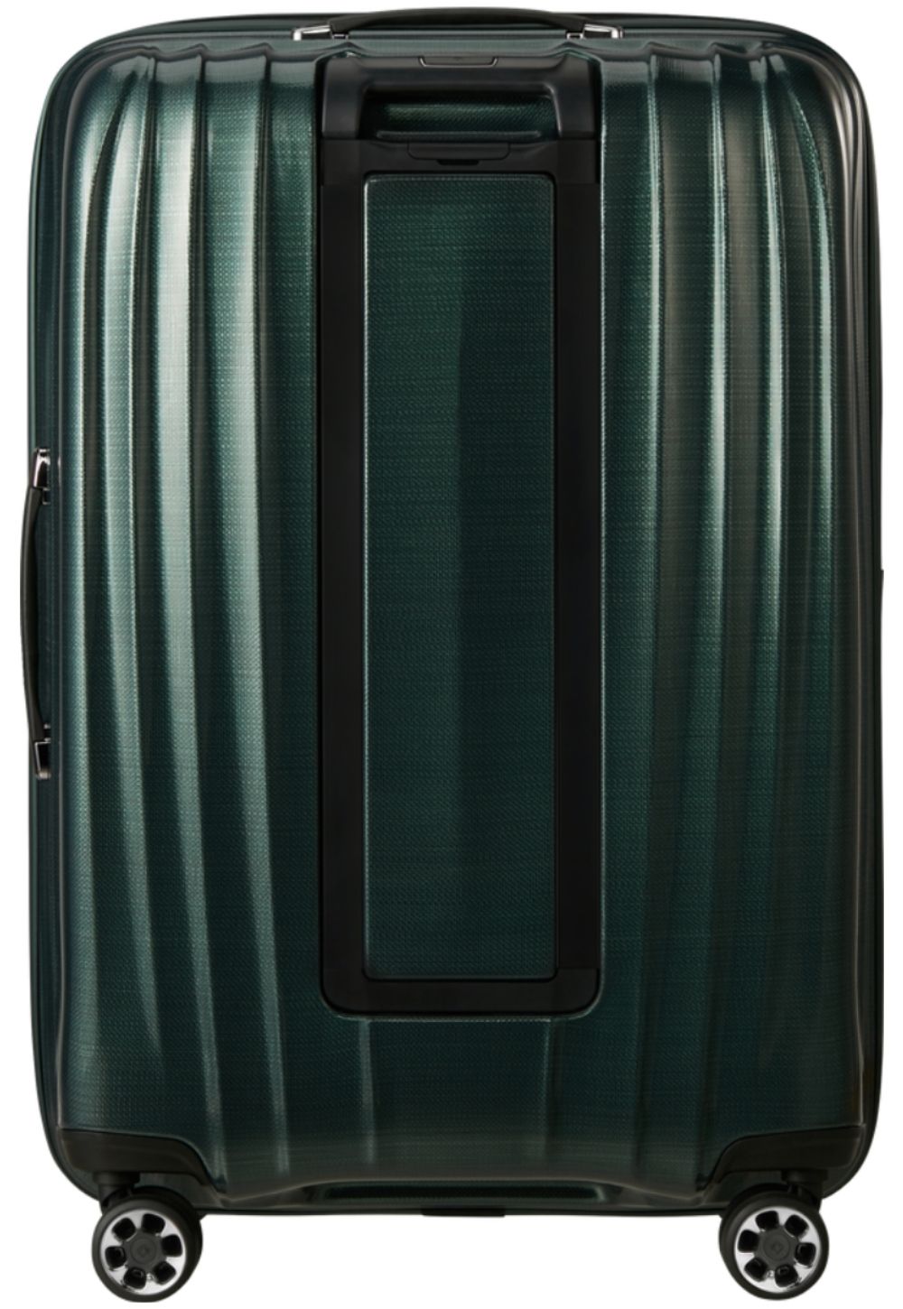 Foresta Profonda / L