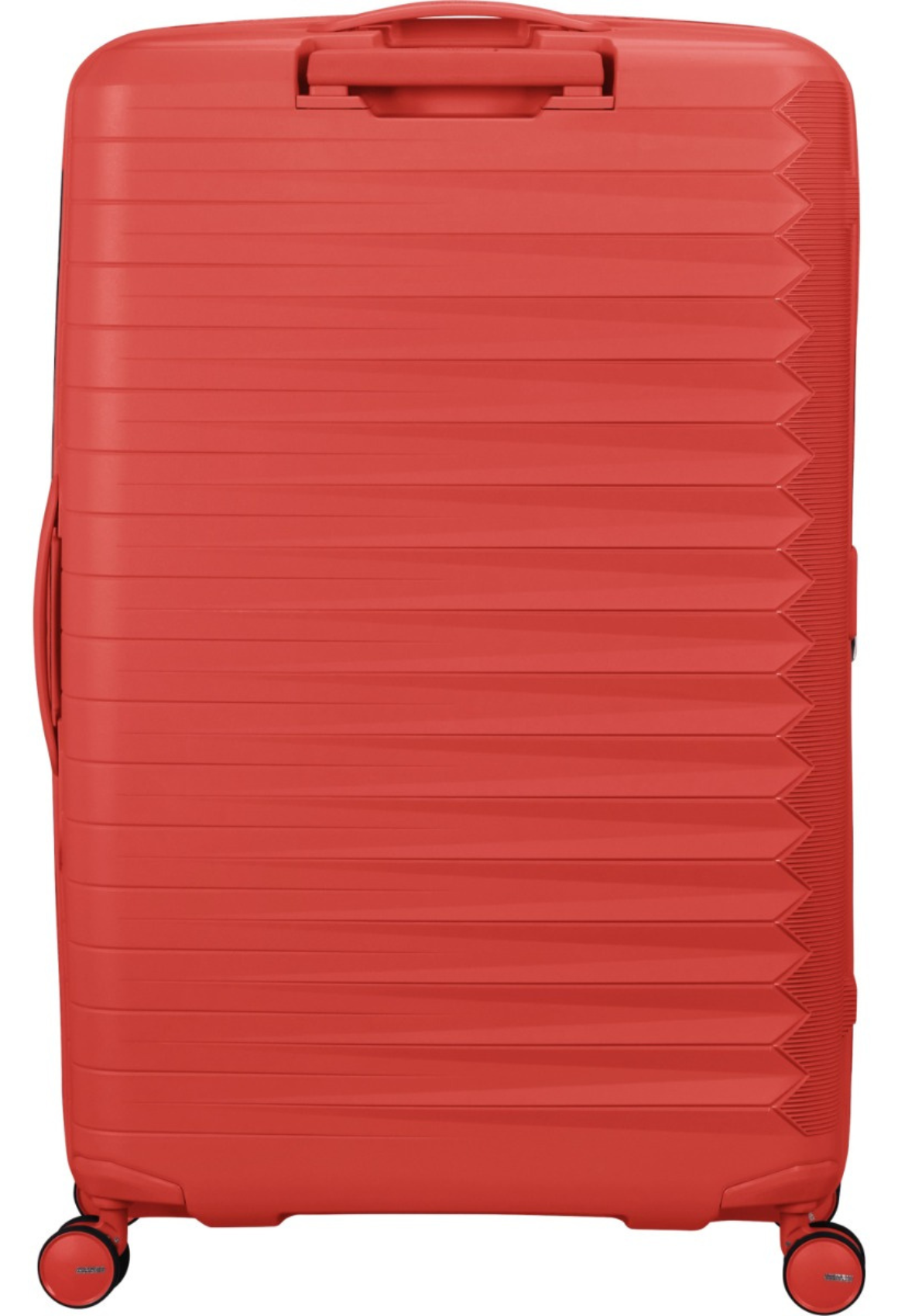 Sunset Coral / L (71-80 cm)