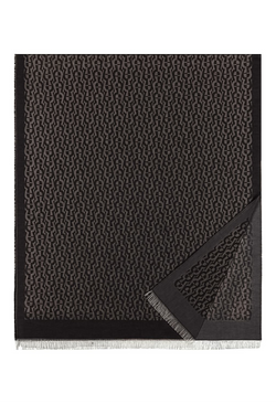 Aigner Fashion Scarf