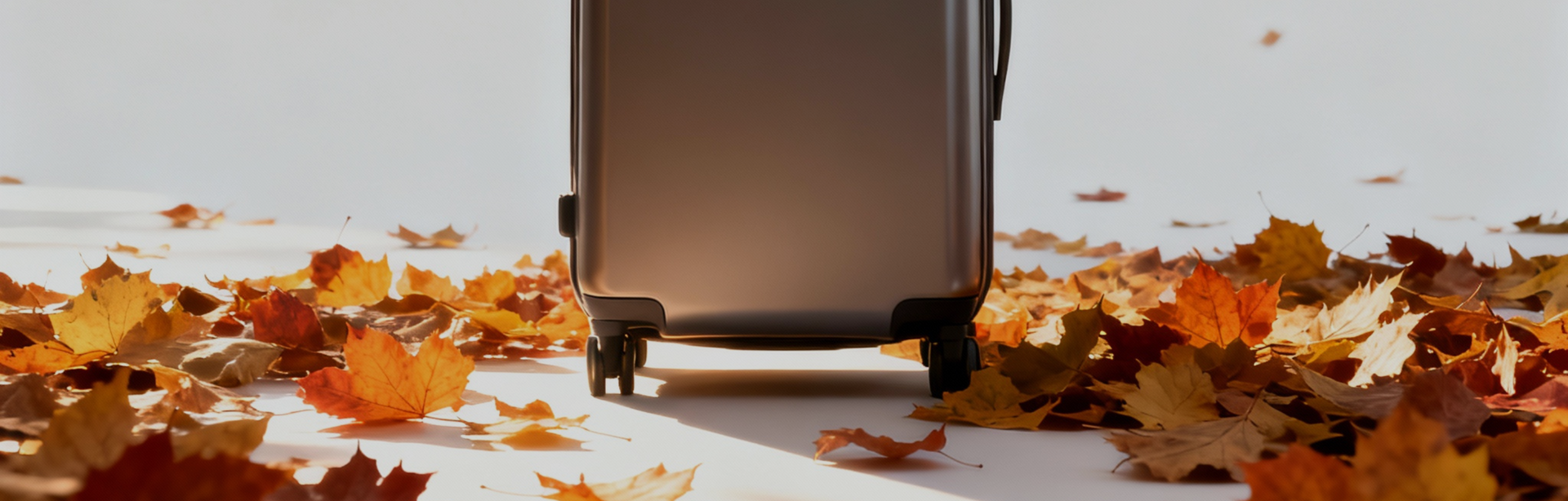 Ofertas de vacaciones de otoño