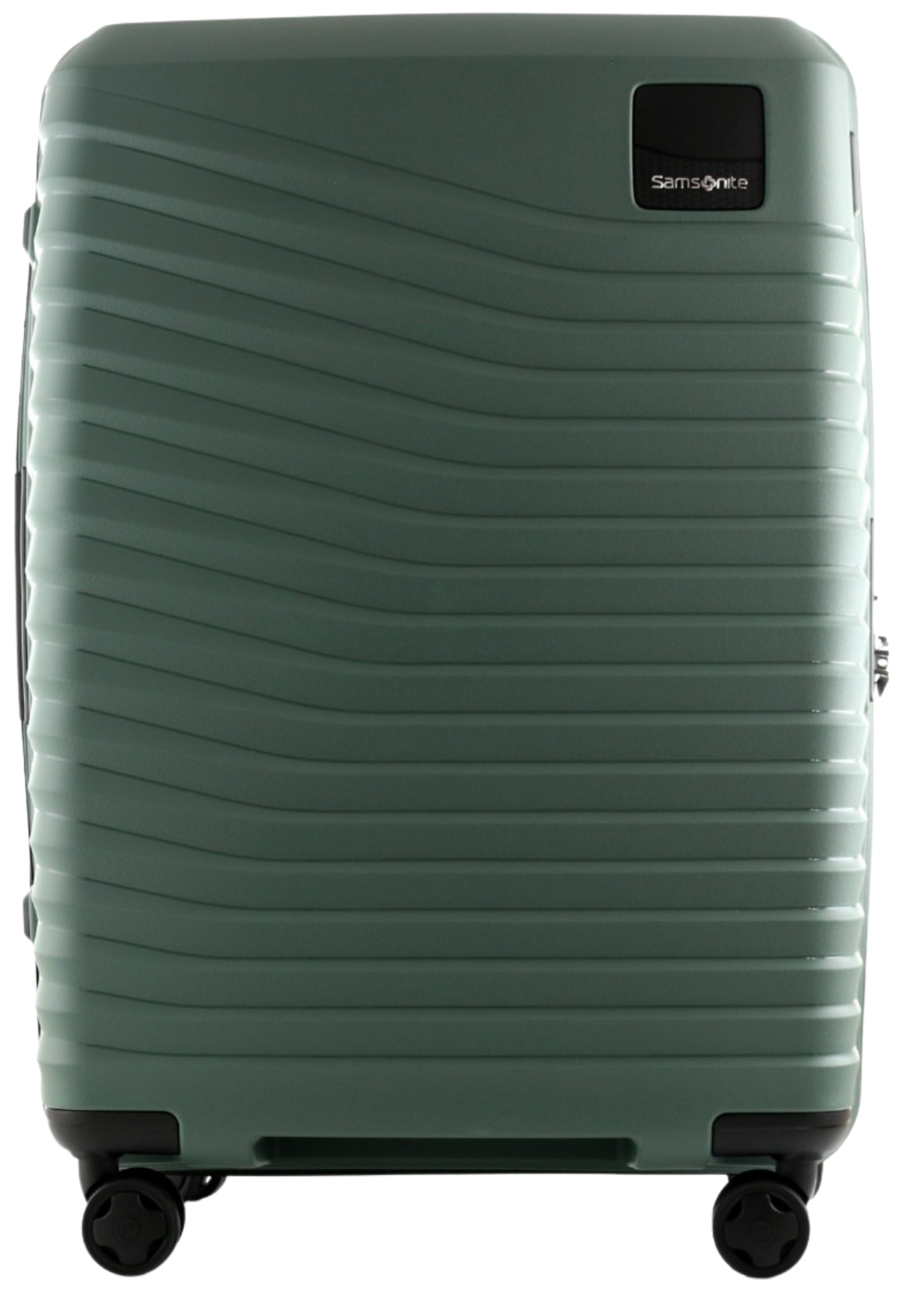 oliv / M (60-70 cm)