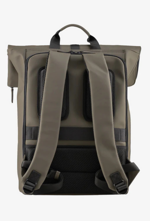 Olive / L