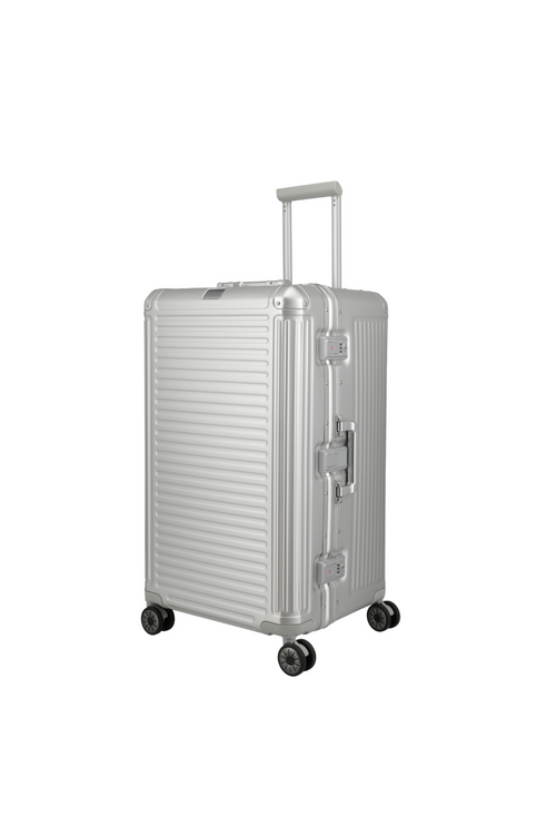 silver / Trunk L