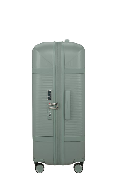 Thyme / L (71-80 cm)