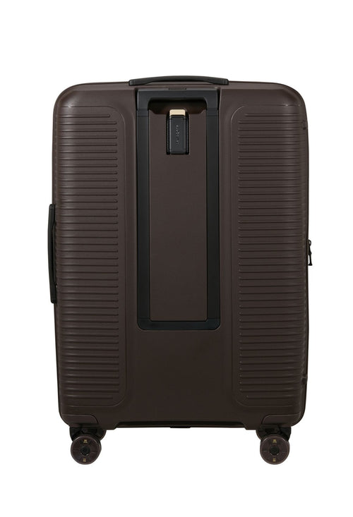 Coffee Bean / L (75 cm)