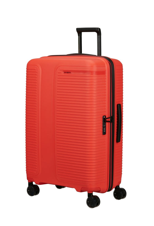 Tangerine / L (75 cm)