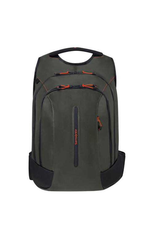 Lierre Grimpant / L, 17,3 pouces