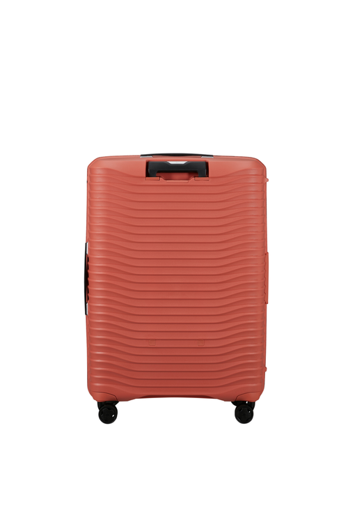 Argilla / L (71-80 cm)