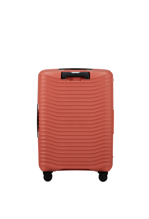 Argilla / M (60-70 cm)