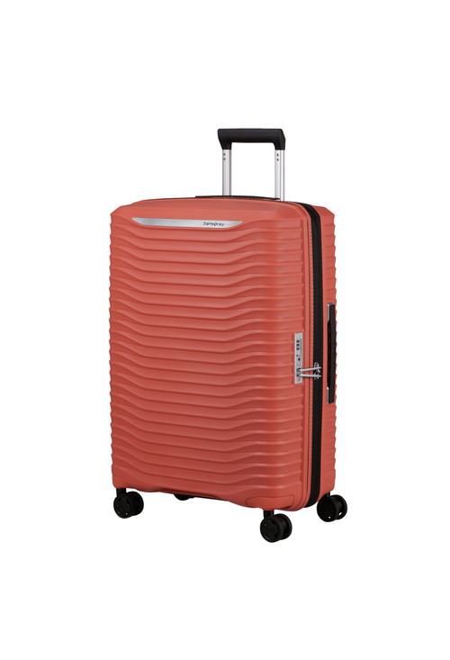 Argilla / M (60-70 cm)