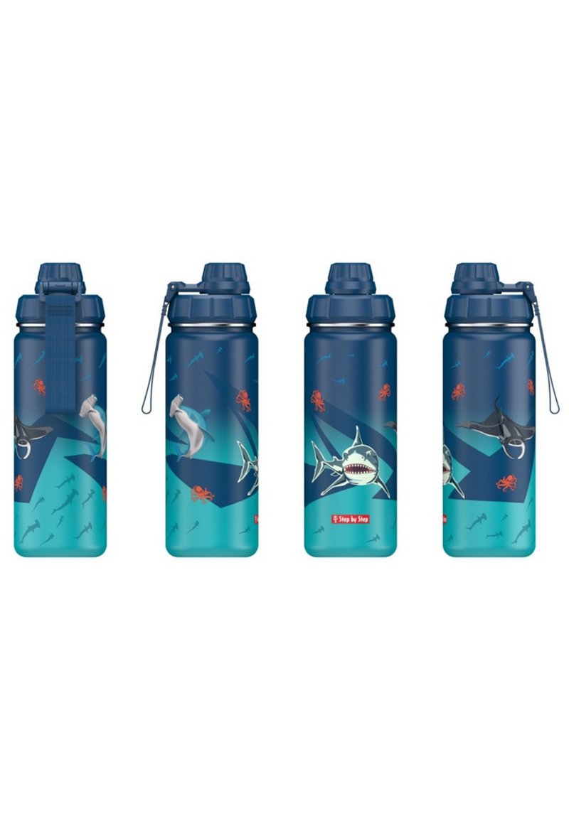 Step By Step Stainless Steel Water Bottle
